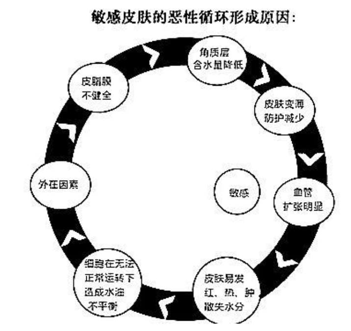為什么你的臉容易過敏？
