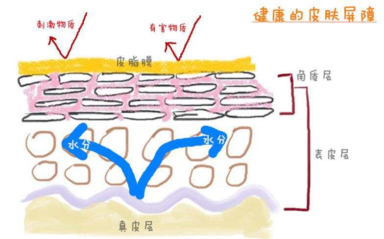 軍事迷的護(hù)膚解讀：我將合理清潔、保濕、防曬